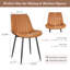 Ensemble de 2 chaises de salle à manger Modern-1012345988