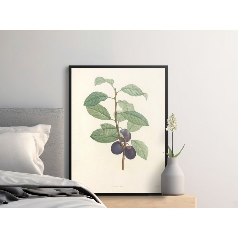 Phyllida Floater Frame Print, 11x14