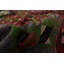 Tapis décoratif en laine de conception unique 5 pi 2 po x 10 pi 8 po noué à la main New Age