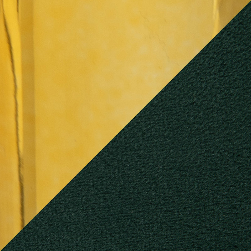 Chaise avec accoudoirs en velours Sutton, Vert