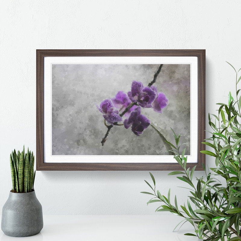 Orchid Flowers Vol.3 - Framed Print, 48cm H x 65cm W x 2cm D, Walnut Framed