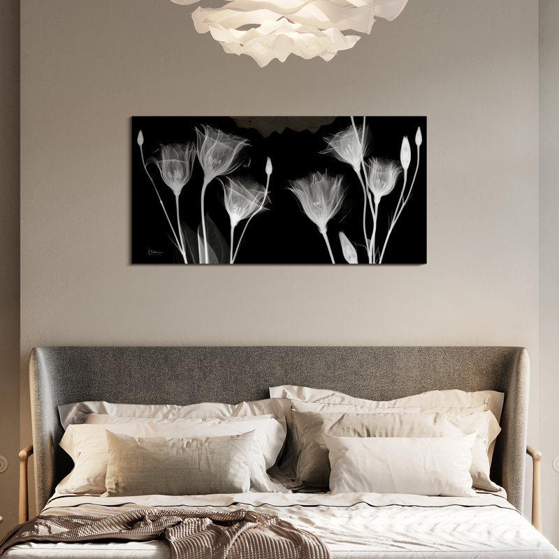 «Gentian Xray» par Albert Koetsier - reproduction de photo non encadrée sur verre