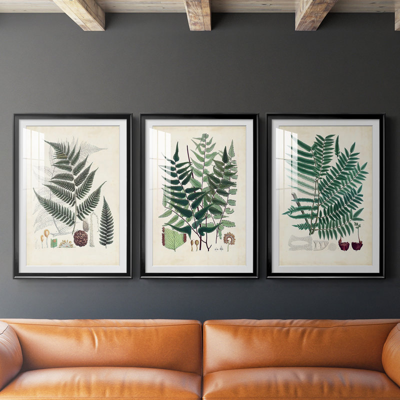 «Ferns VI», reproduction encadrée de qualité supérieure, prête à être accrochée, H 42,5 po x l 61 po x P 2,5 po, Cadre noir