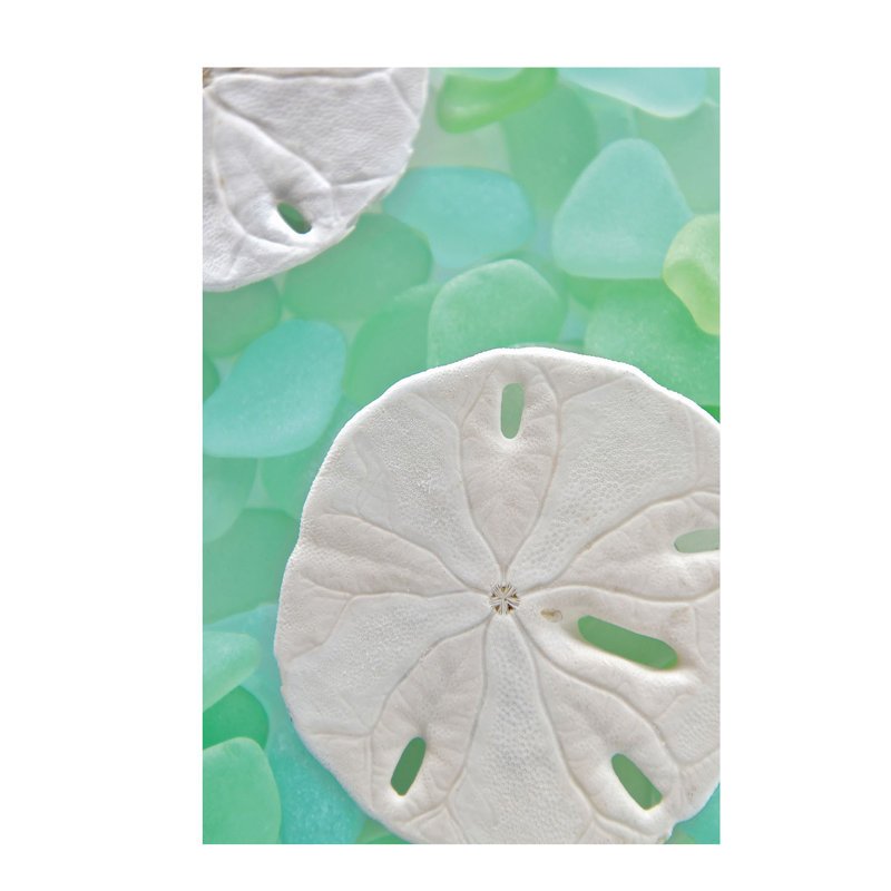 Seaglass 5 by Alan Blaustein - Wrapped Canvas Print, 66.04 cm H x 45.72 cm W x 1.91 cm D