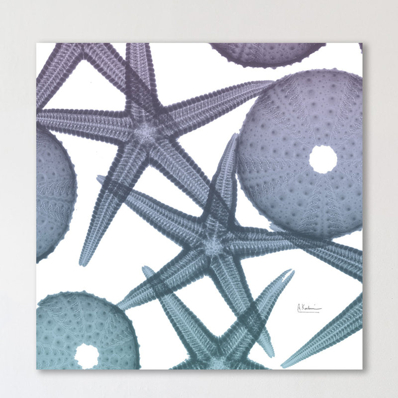 Lavendar Dipped Starfish 1 - Wrapped Canvas Print, 122 cm H x 122 cm W