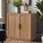Tonya 2 - Door Accent Cabinet-474965970-474965969