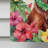 Double Sided 40'' H x 28'' W Polyester Animal House Flag