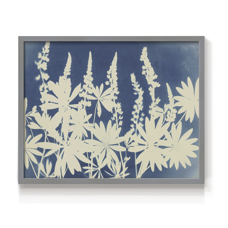 Joli lupin - reproduction encadrée, H 8 po x l 10 po, Gris