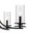  Devonshire 5-Light Modern Matte Black Chandelier-2008161058