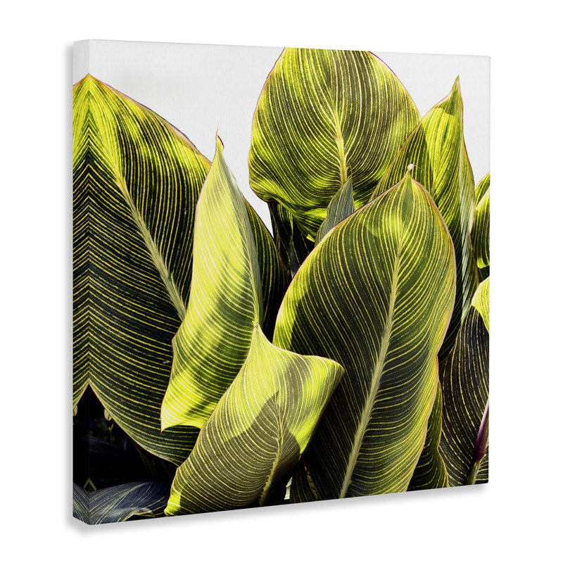 «Bright Bright Tropical Leaves» par Emily Navas, H 17 po x l 17 po