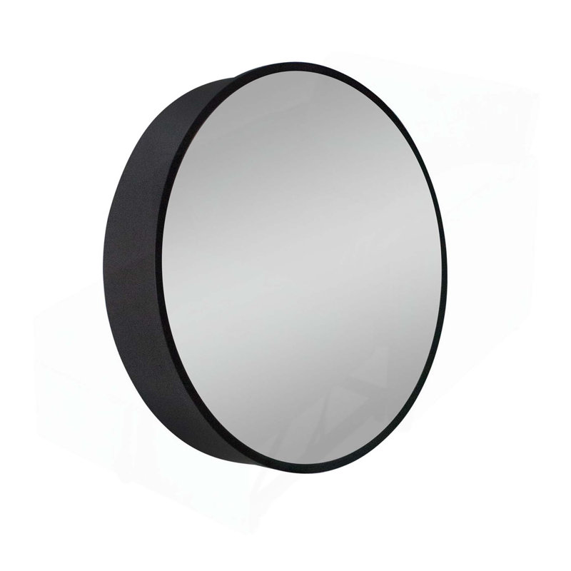 Armoire de salle de bain chic avec cadre en métal avec miroir pour un rangement élégant, Noir