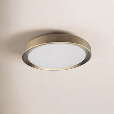 Single Light LED Flush Mount