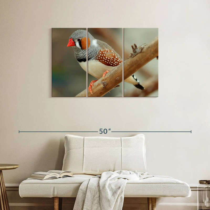 Brampt Zebra Finch On A Branch, 24" H x 38" W