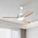 46 Inch Ceiling Fan With LED Light, Remote Control