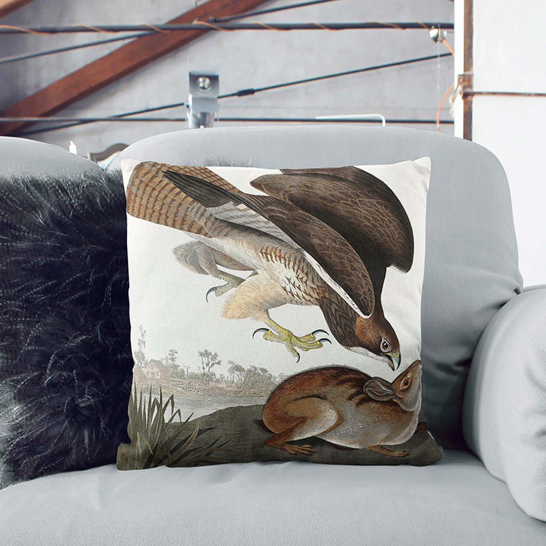 Common Buzzard & Rabbit by John James Audubon Cushion with Filling