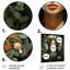 «Green Floral», Muse mexicain II-688172377
