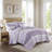 Caralie 4 Piece Seersucker Coverlet Set with Throw Pillow-830841868-836363821