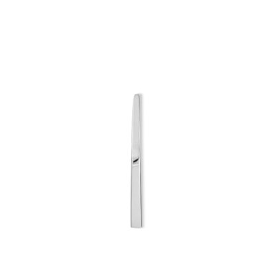 Santiago Stainless Steel Dinner Knife