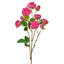 Tige de rose 25 po Ramblin -258401781