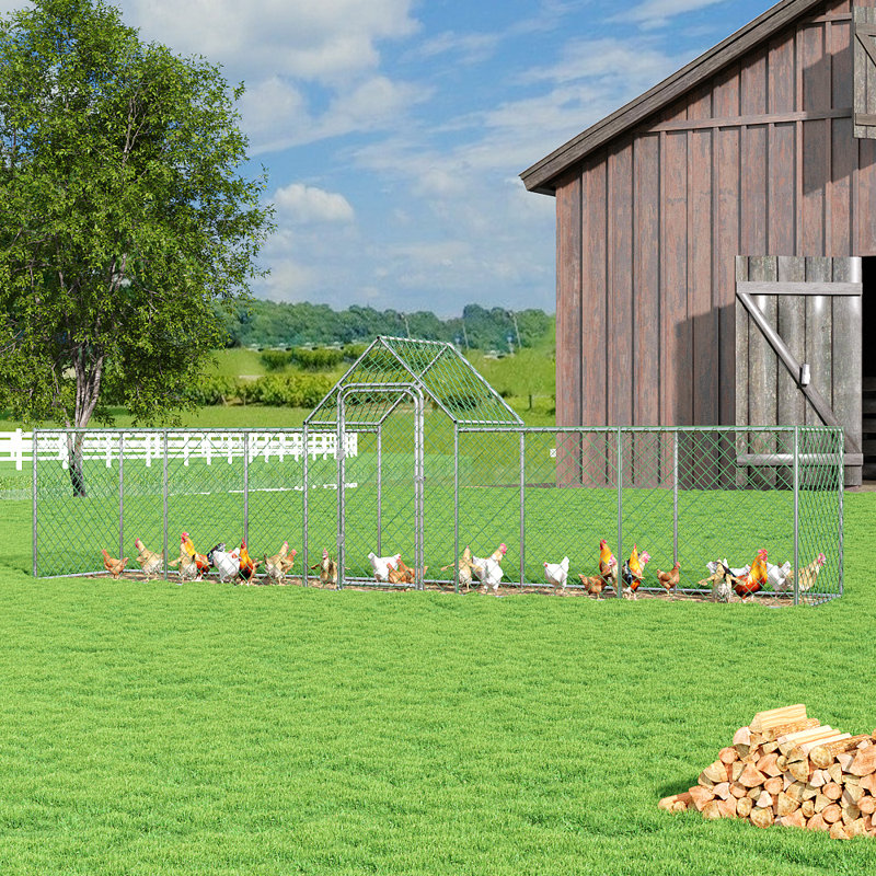 5m² Walk In Chicken Coop For Up To 12 Chickens