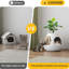 Lit moderne pour chat en forme de capsule spatiale, grande grotte en ABS avec griffoirs et plantes artificielles décoratives, cachette d'intérieur avec tapis douillet pour salon, chambre et coin