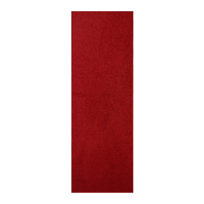 Modern Plush Pet and Kids Friendly Solid Color Red Area Rugs, Stain & Fade Resistance, Perfect for Living Room, Dining Room, Bedroom, Playroom and Kidsroom, Event, Wedding, Ambernique Binded Rug