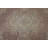 Distressed Traditional Area Rug 7x9
