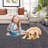 Solid Machine Washable Rug Non-Slip Modern Area Rugs Traditional Rubber Backing Thin Indoor Area Rug for Living Room Bedroom Kitchen Dining Room Non Shedding Casual Carpet-1089964395