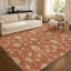 Tapis Chantille ACN3079 Global, lavable à la machine, intérieur/extérieur-2128351566-2128351578
