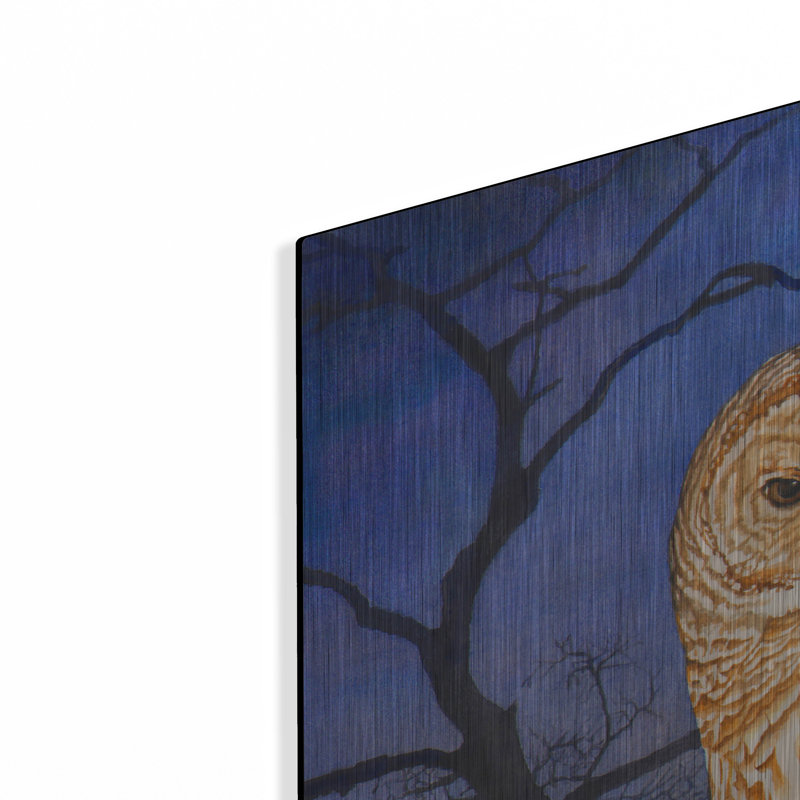  'Observer' by Marvindale Metal Wall Art, 36" x 36", 36" H x 36" W