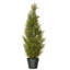 The Holiday Aisle® Cedar Tree-15047223