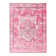 Oriental Indoor Rug