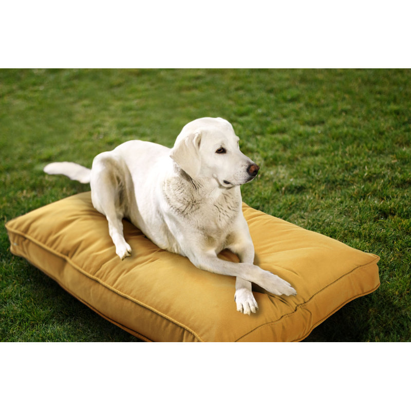 Lit pour chien d'intérieur et d'extérieur Sunbrella, Petit (l 26 po x P 18 po x H 3 po), Jonquille