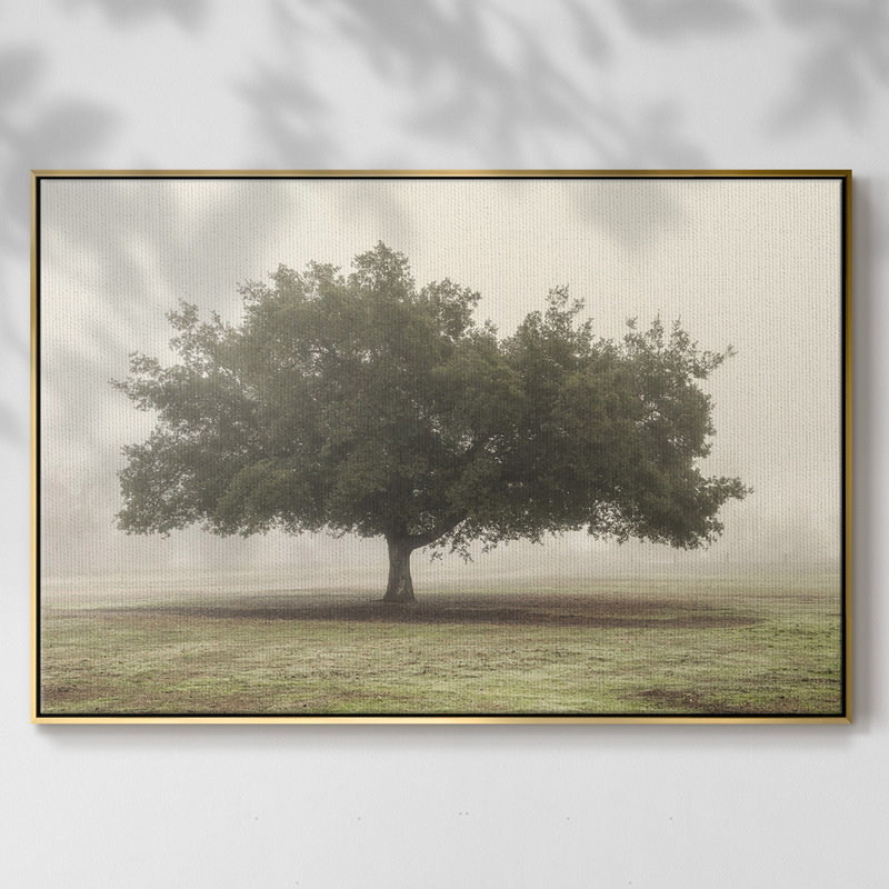 Arbres dans le brouillard II, H 25 po x l 37 po x P 2 po, Toile avec cadre doré