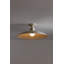 TEELIN Flush Mount