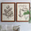 Toile encadrée antique Premium sépia Botanicals - prêt à accrocher-1452419992-1452419985