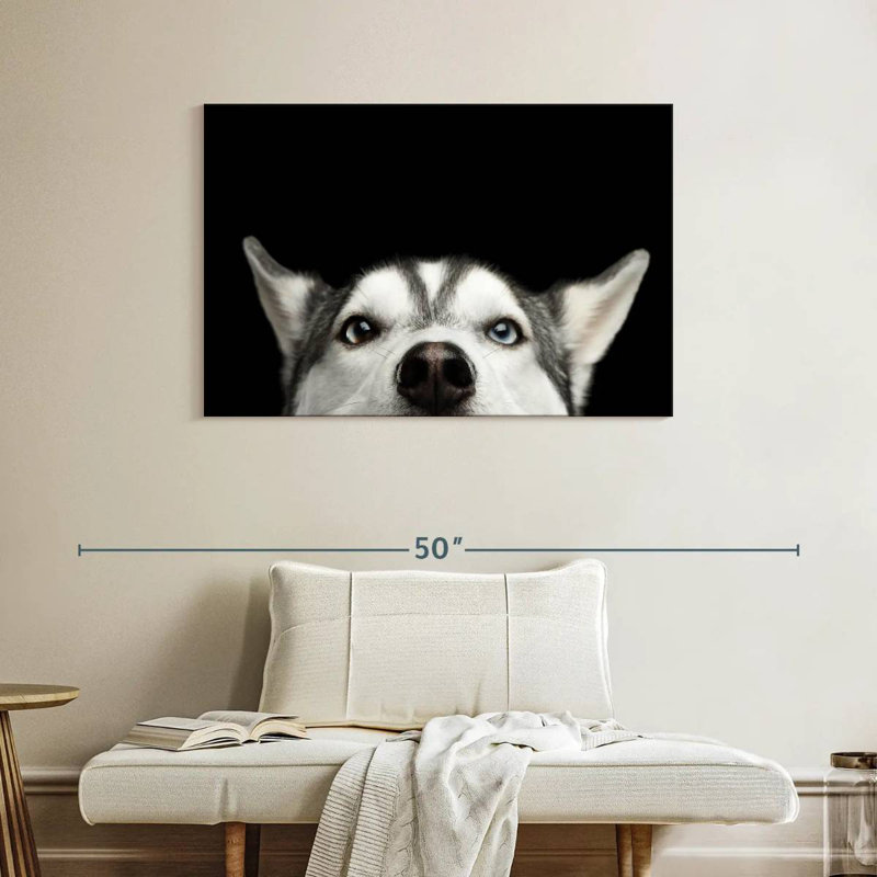 Peeking Siberian Husky, 26" H x 39" W