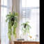 Décoration de fougère artificielle-918734075