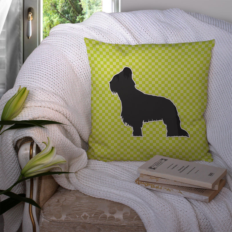 Coussin décoratif intérieur/extérieur brie, H 14 po x l 14 po x P 3 po, Vert