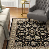 Nicola Oriental Indoor Rug