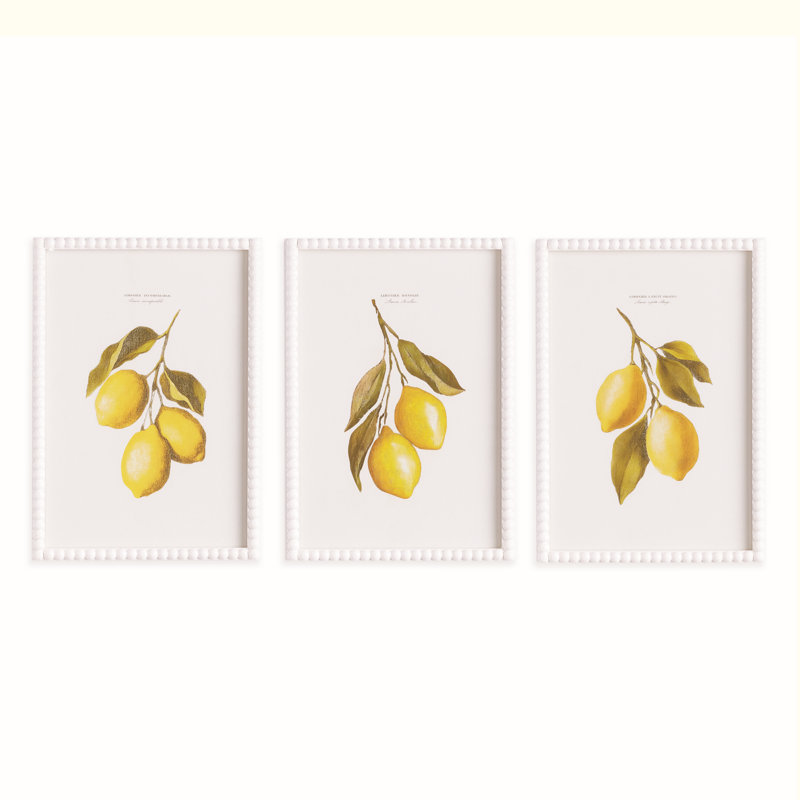 ÉTUDE DE DÉCOUPAGE DE LEMON, ENSEMBLE DE 3