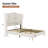 Luxury Upholstered Bed Frame with Wingback Headboard and Plush Velvet, Queen-2013483434