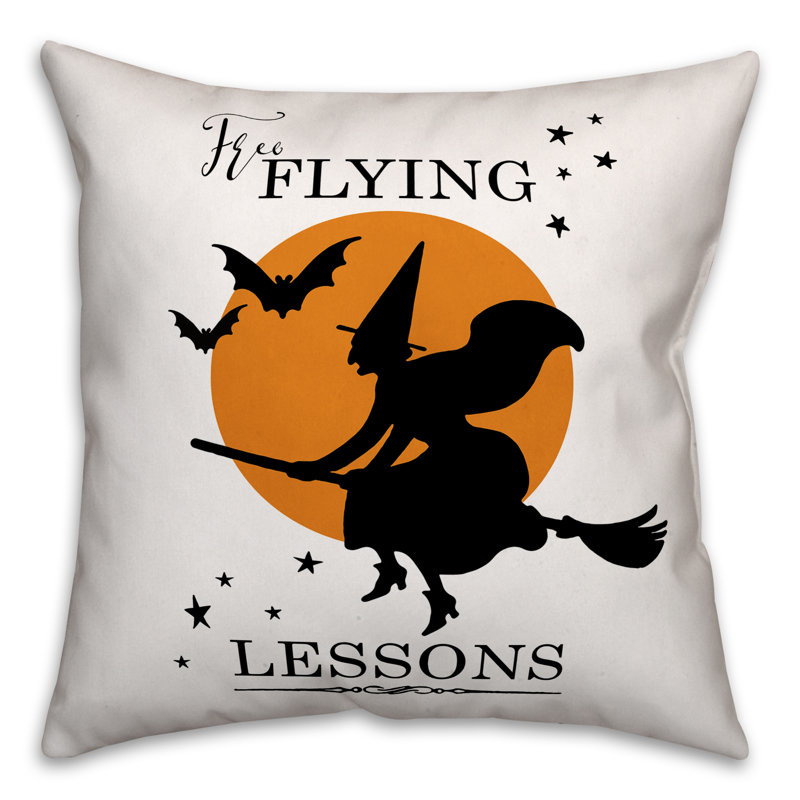  Coussin Free Flying Lessons