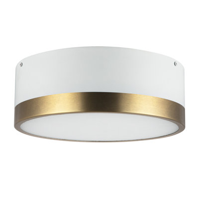 Mossy 2 Light Flush Mount