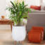 Honeycomb Style Egg Planter with Feet-57886062-57886056