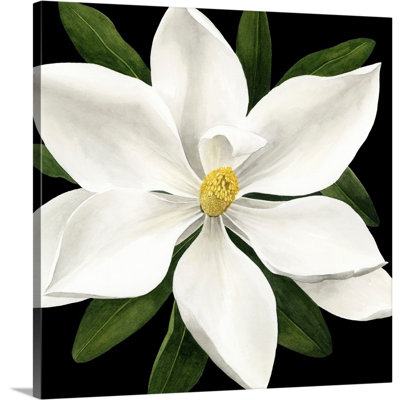 «Midnight Magnolia I», art mural sur toile