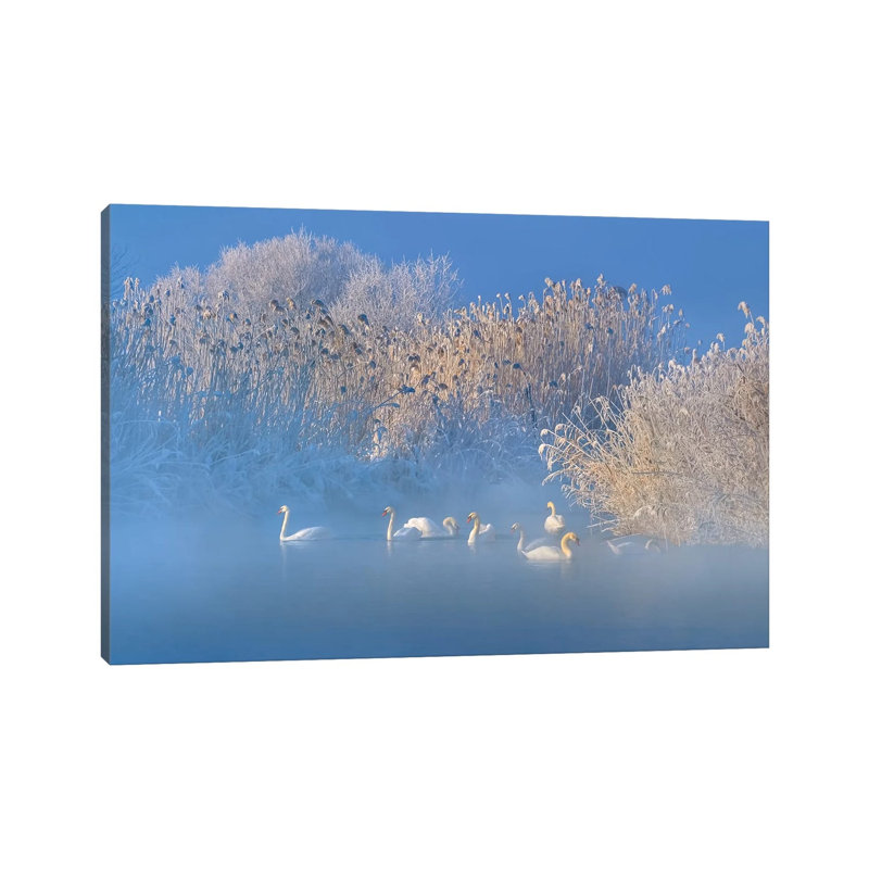 Blue Swan Lake by Hua Zhu - Wrapped Canvas Print, 20.32cm H x 30.48cm W x 1.905cm D