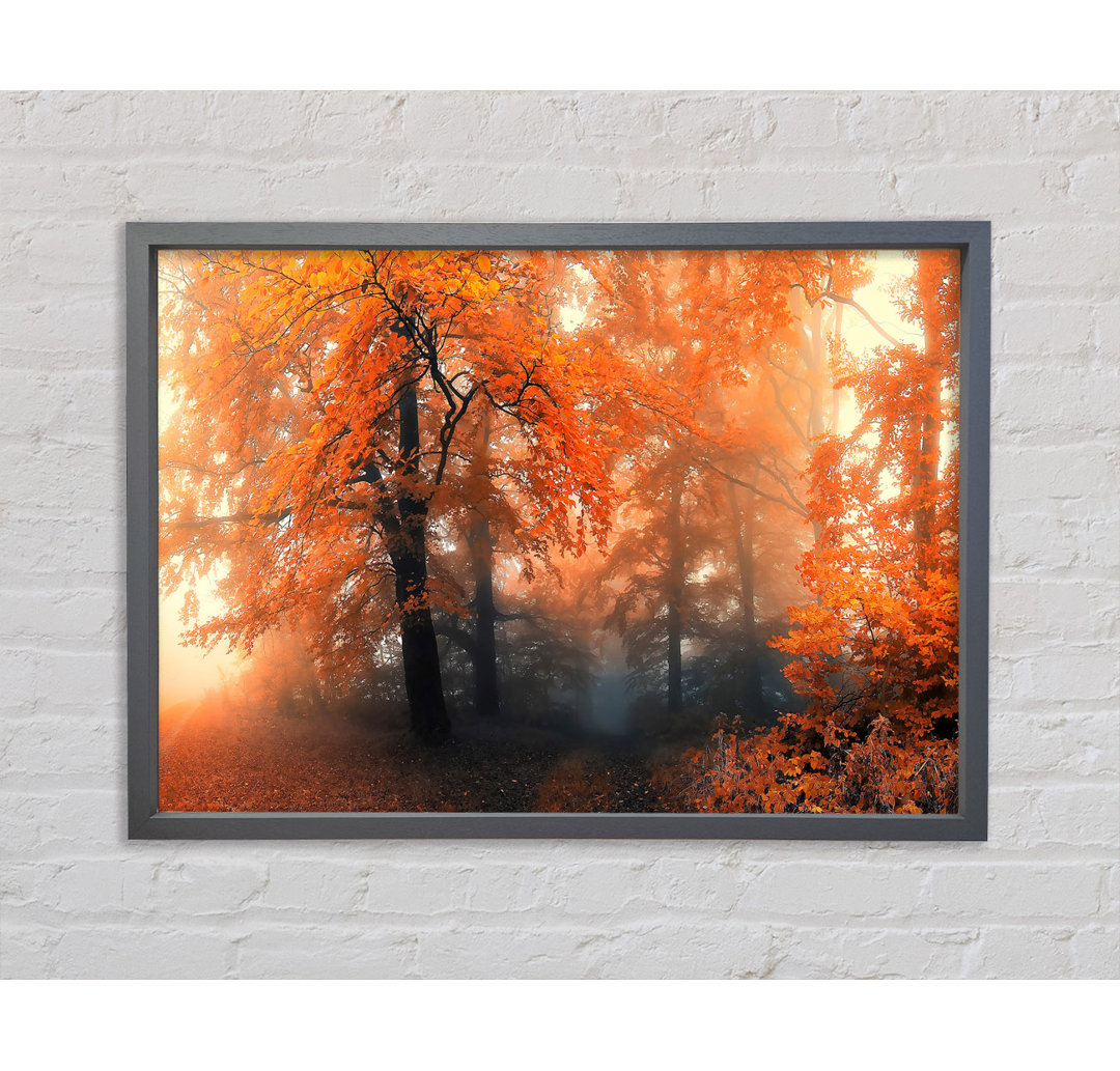 Herbst Orange Mist - Einzelner Bilderrahmen Kunstdrucke auf Leinwand