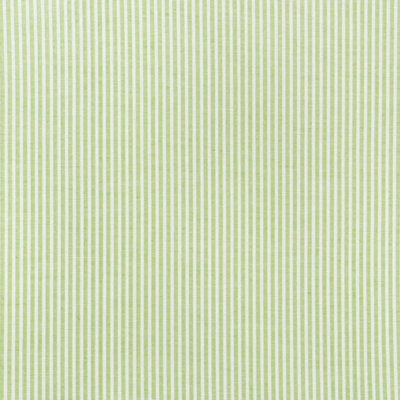 Easton Stripe Indoor/Outdoor Fabric