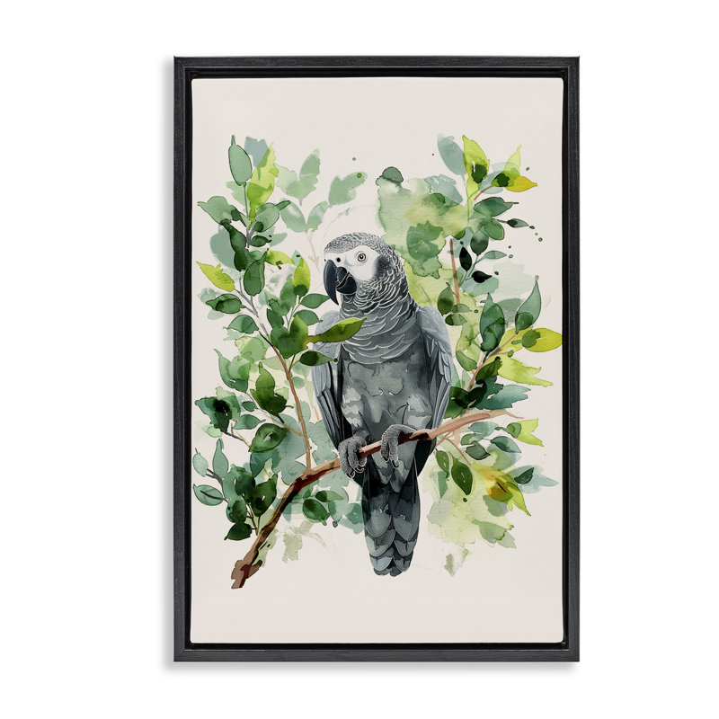  Toile flottante tropicale avec perroquet brun encadré par LSR Design Studio, Cadre flottant noir de jais, H 25 po x l 17 po